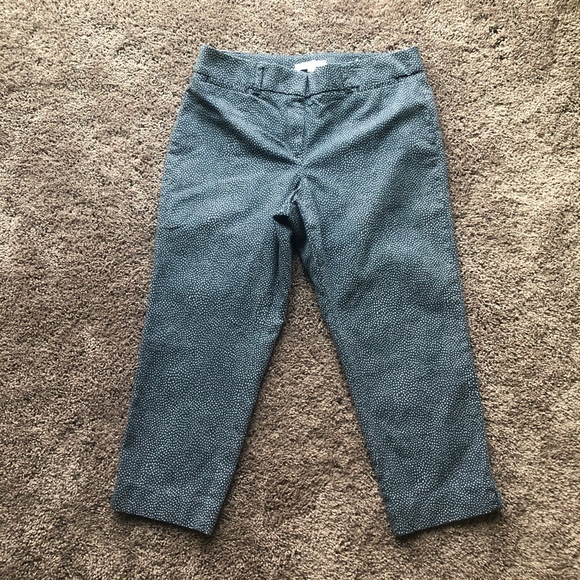 LOFT Pants - LOFT Ann Taylor Julie Capri Pants Size 10P